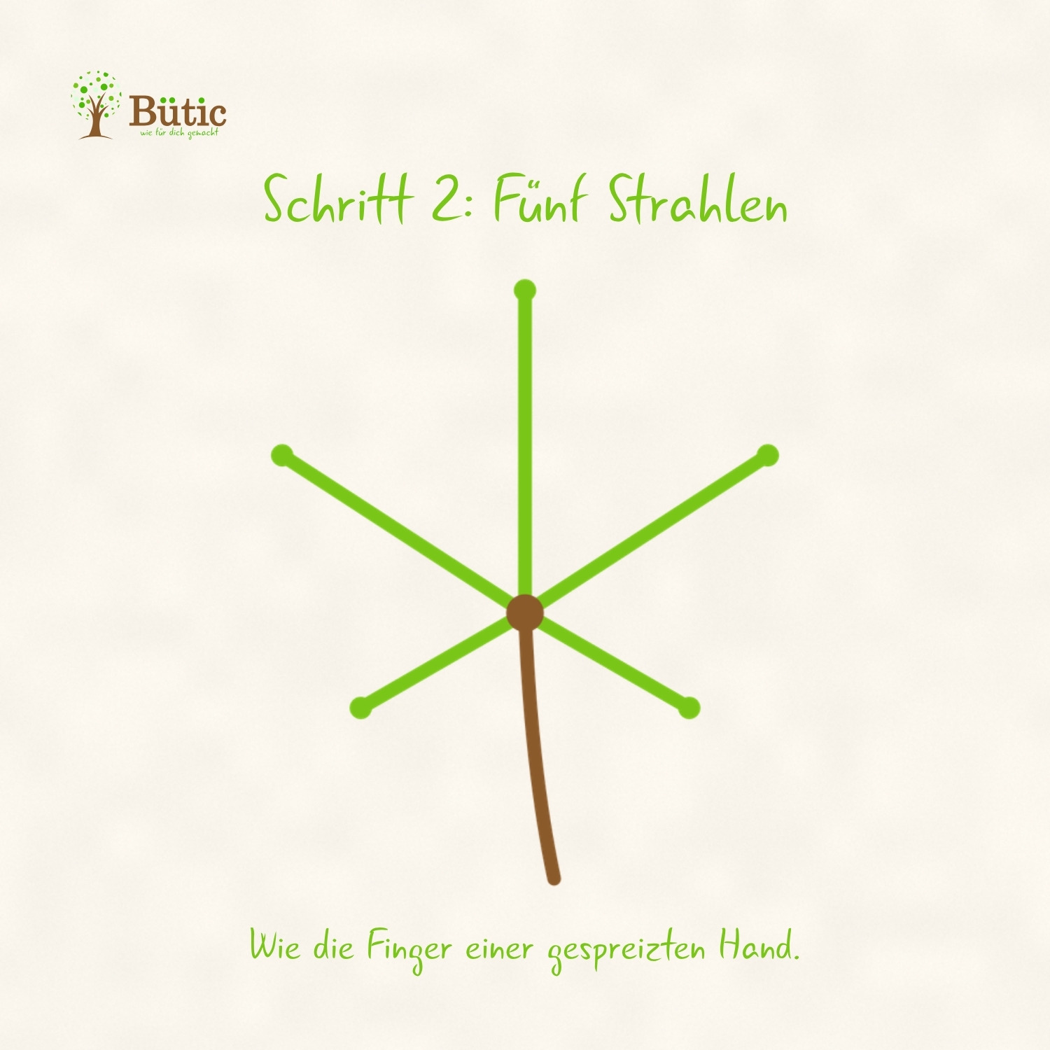 Infografik Schritt 2: Fünf Strahlen. Vom Punkt am Stiel gehen fünf Strahlen aus, der mittlere ist am längsten, die unteren sind am kürzesten. Wie die Finger einer gespreizten Hand.