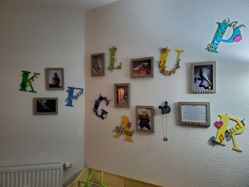 Wand mit bunten Holzbuchstaben und den Namens-Schriftzügen Kurt, Finan, Leofric, Uhtred, Galahad, Alfred, Parcival und Ragnar neben gerahmten Fotos der Wellensittiche
